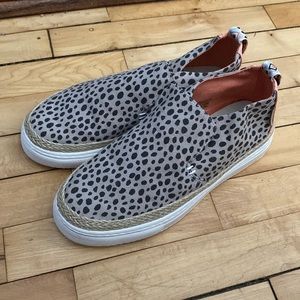 Hey dudes brand new